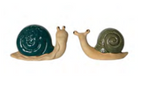 Flower Snails, Blue/green