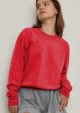 Organic Cotton Basic Sweatshirt