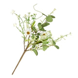 Daisy and Eucalyptus Pick
