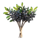 Berry Bundle