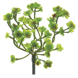 8.5SOFT TOUCH SEDUM PICK GR