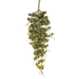 Button Leaf Hanging Spray