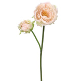 Peony Spray Pk/so