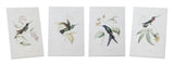 Hummingbird Print (4 Asst)