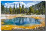 Yellowstone National Park 38x60