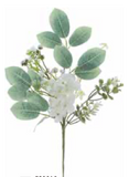 Floral White Eucalyptus Pick