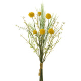 Allium/Grass Bundle, Yellow - 15"