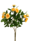 Mini Rose Bush, Yellow - 10"