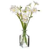 Ranunculus in Glass Vase, White - 12