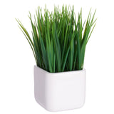Grass in Ceramic Pot, Green - 8.5"