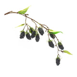 Raspberry Vine - 24.5"