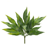 Sword Leaf Bush, Green