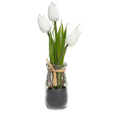 Tulip in Glass Bottle, White - 3" x 8.5"