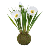 Poppy with Faux Dirt/Moss, White - 5