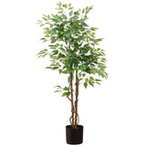 Ficus Tree in Plastic Pot, Green - 5'